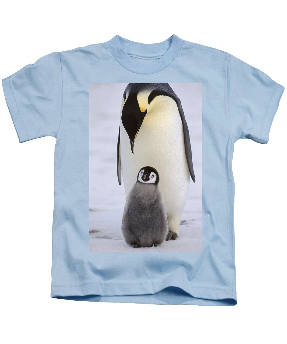 Feb0514 Kids T-Shirt featuring the photograph Emperor Penguin With Chick Antarctica by Konrad Wothe