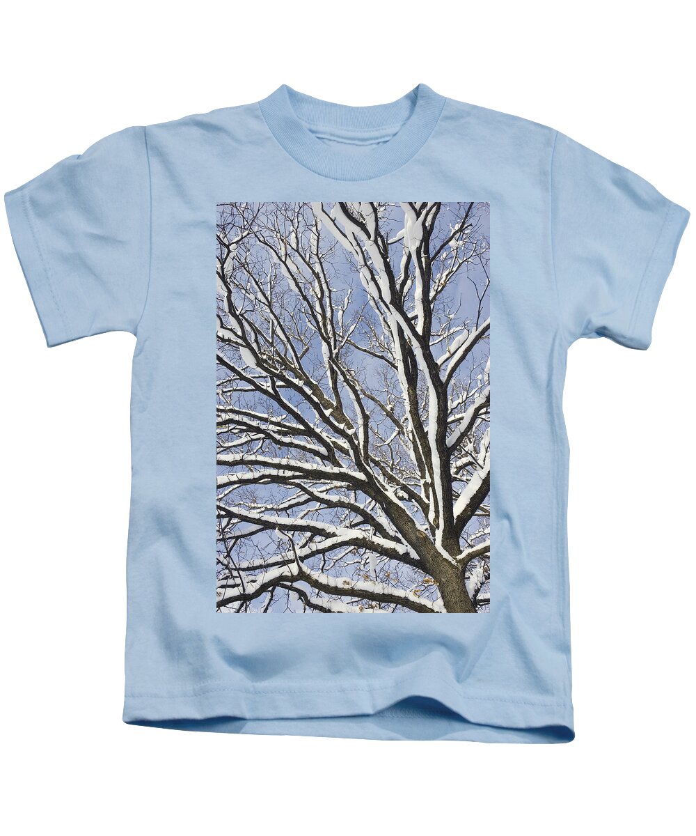 Feb0514 Kids T-Shirt featuring the photograph English Oak Tree In Snow Bavaria Germany by Konrad Wothe