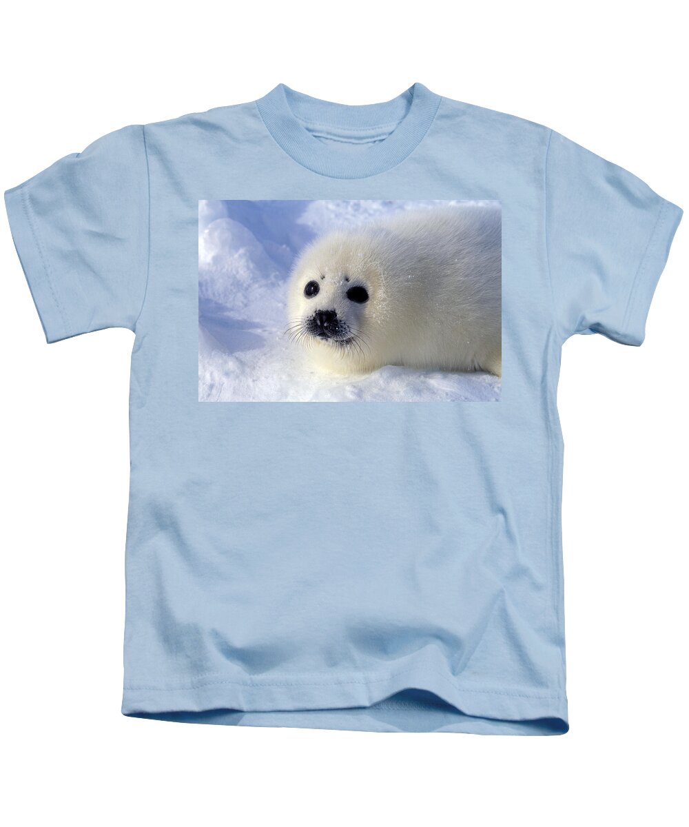 Harp Seal Kids T-Shirt featuring the photograph Harp Seal Pup by Francois Gohier