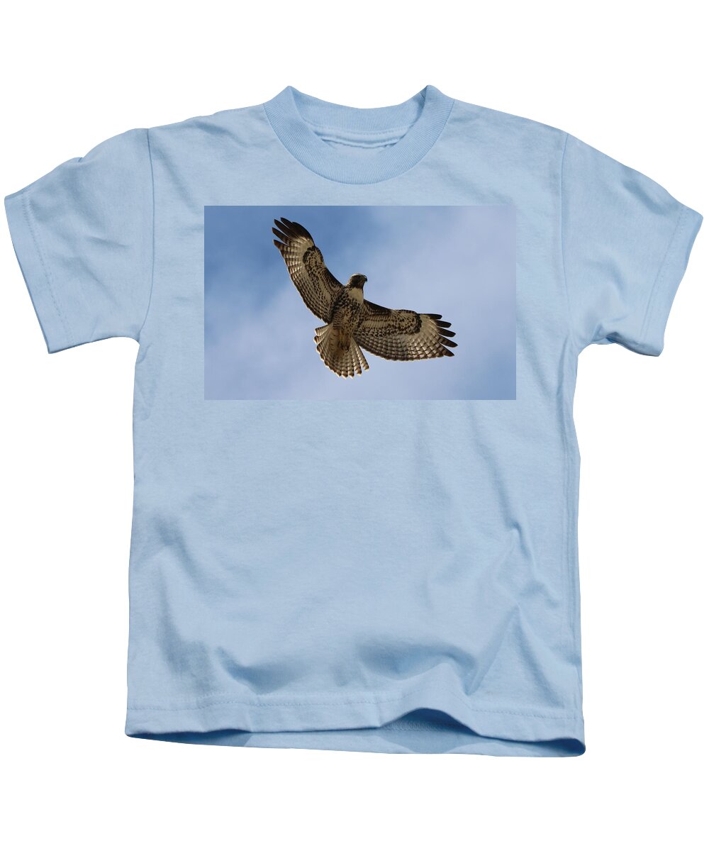 Hawk Kids T-Shirt featuring the photograph Hawk in Flight by Christy Pooschke