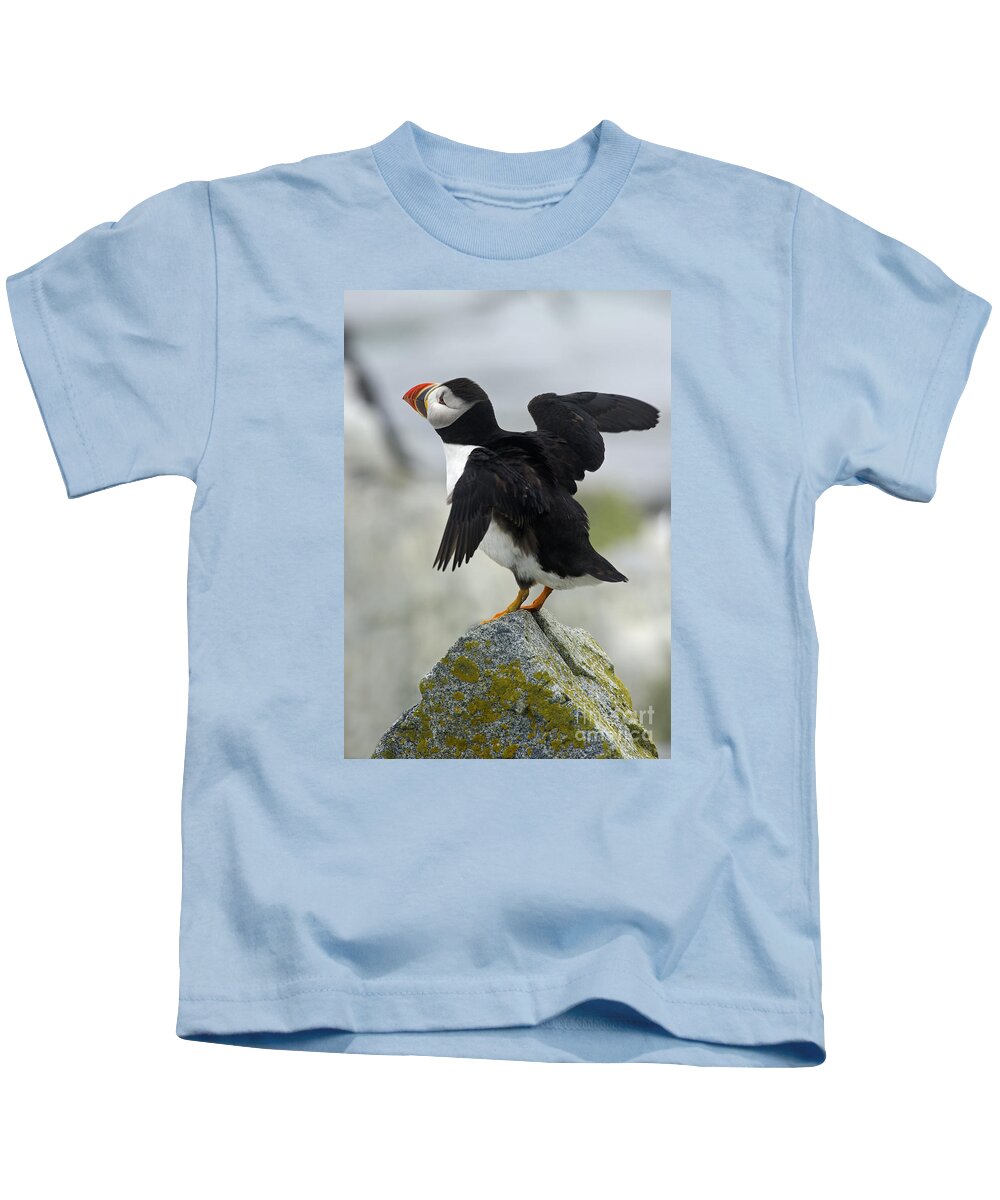 Festblues Kids T-Shirt featuring the photograph Huffin and Puffin.. by Nina Stavlund