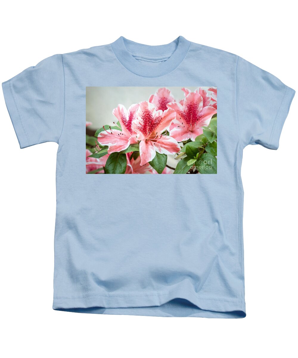 Flowers Kids T-Shirt featuring the photograph Pink Azaleas by Todd Blanchard