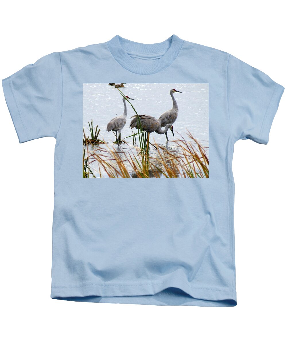 Nature Kids T-Shirt featuring the photograph Sandhill Cranes by Kay Novy