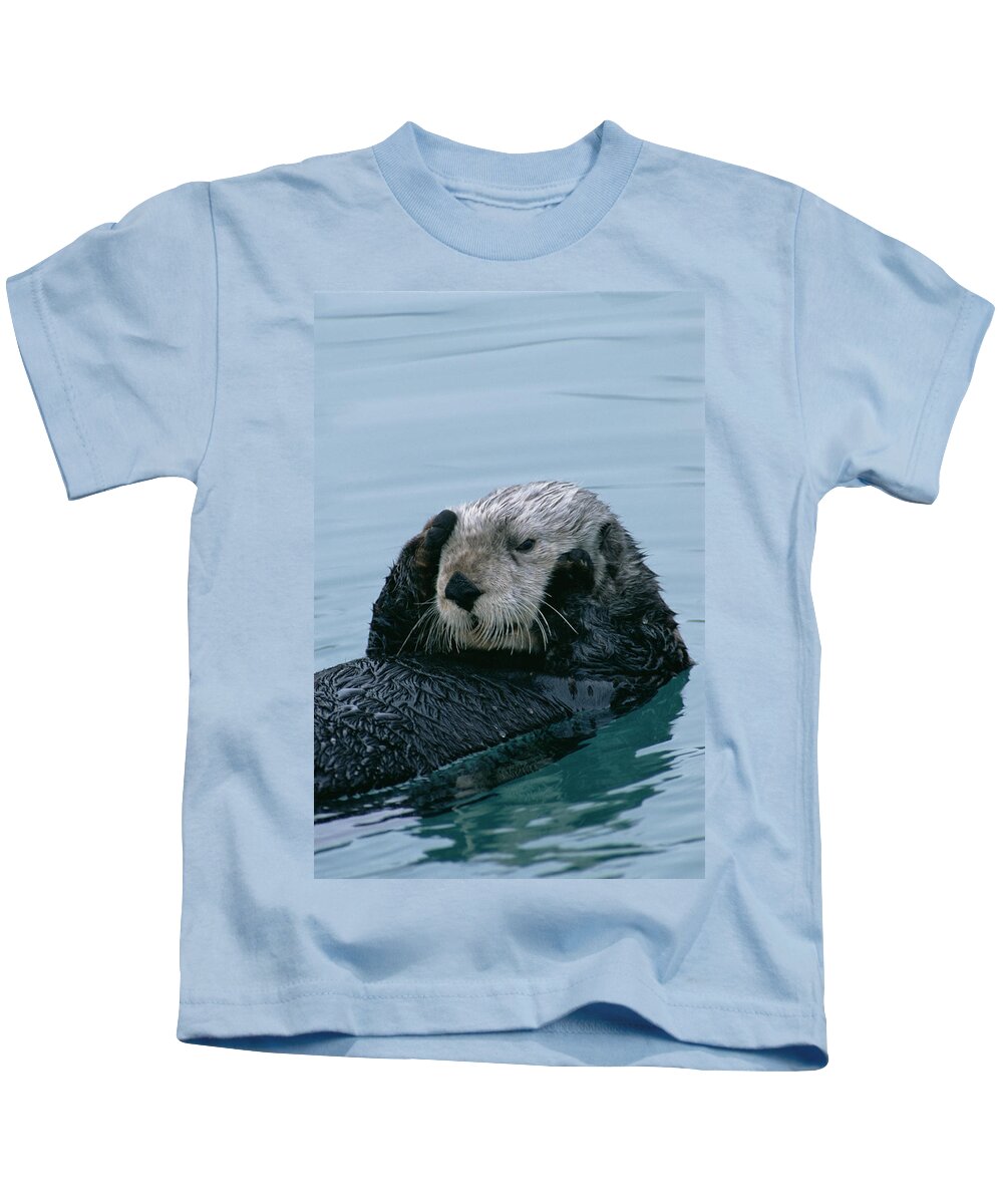 00600119 Kids T-Shirt featuring the photograph Sea Otter Grooming by Matthias Breiter