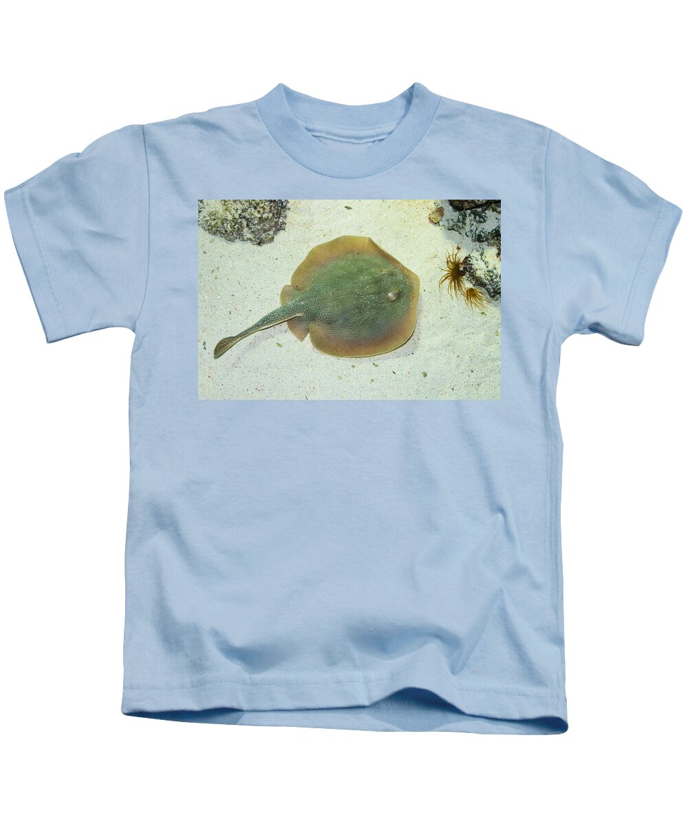 Stingray Kids T-Shirt featuring the photograph Stingray by Andreas Berthold