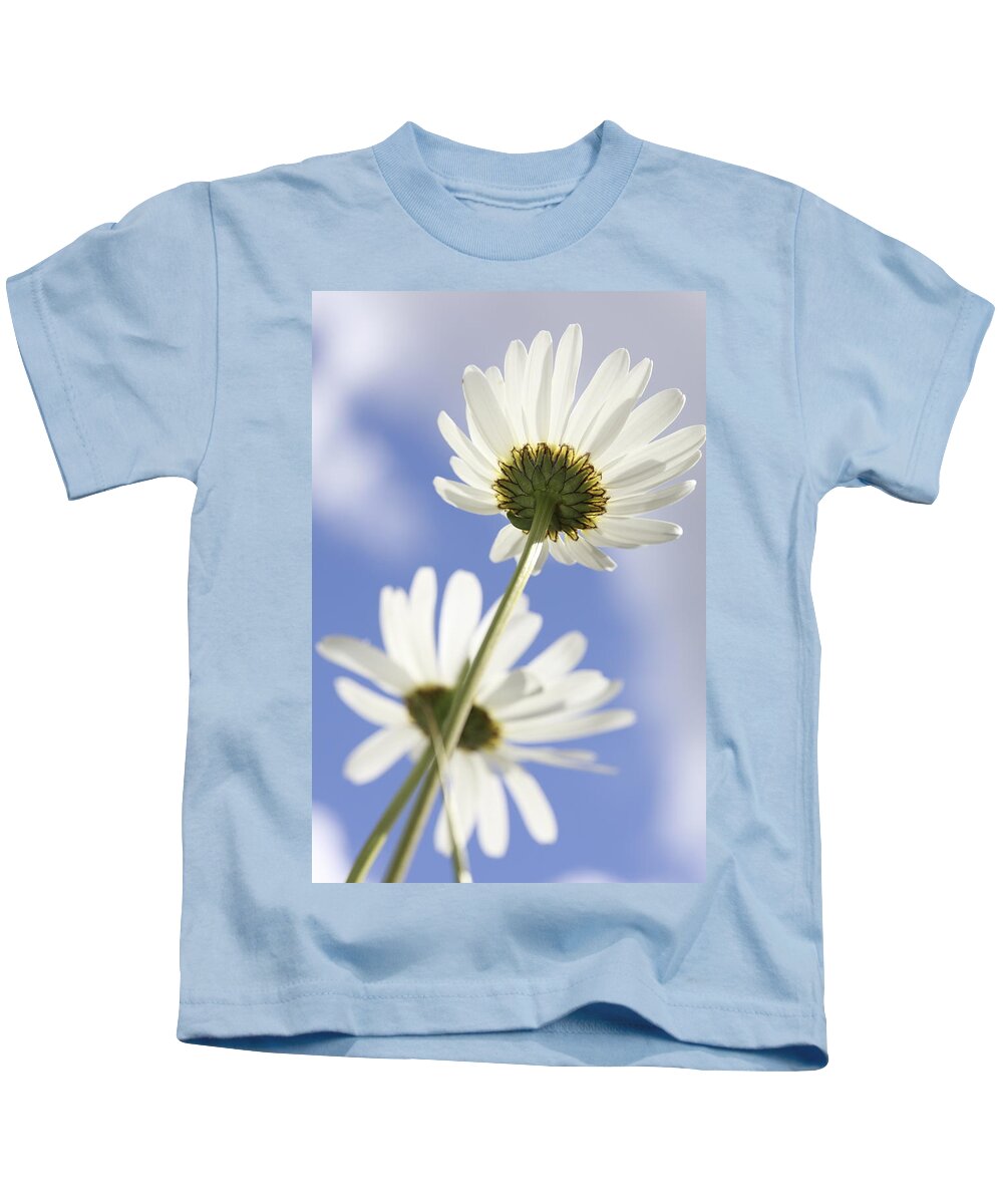 Asteraceae Kids T-Shirt featuring the photograph Two daisies by Ulrich Kunst And Bettina Scheidulin