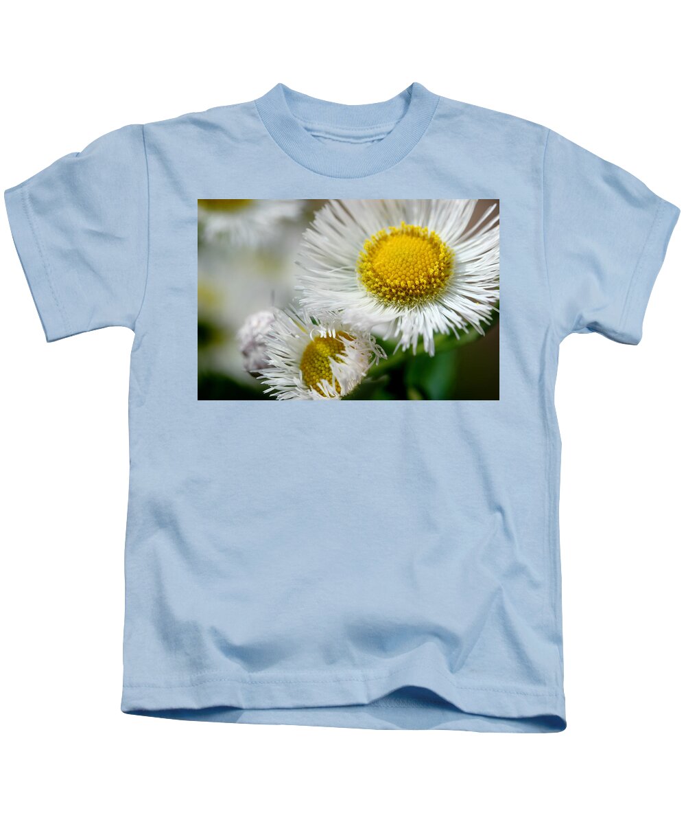 Philadelphia Fleabane Kids T-Shirt featuring the photograph You Look Beautiful Today by Michael Eingle