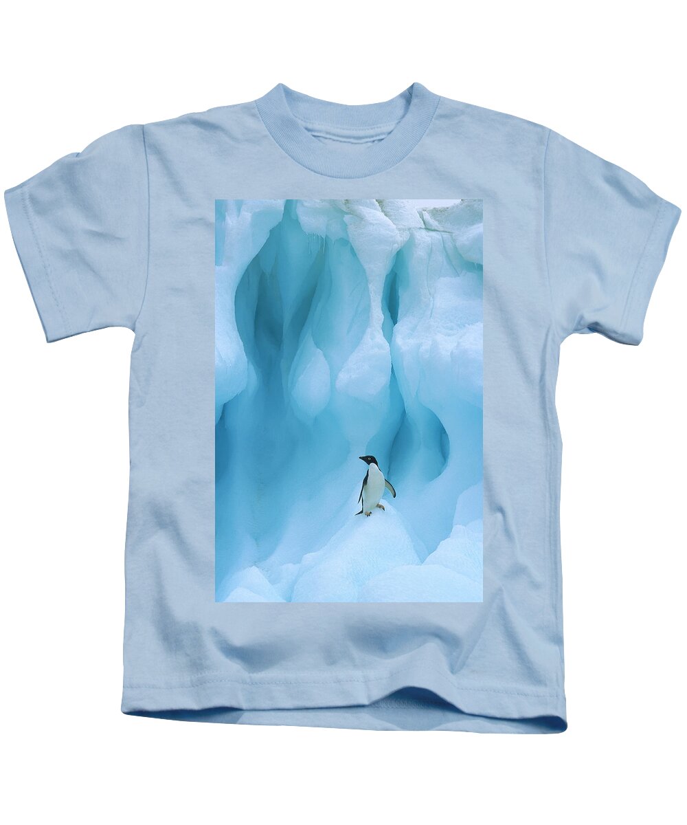 00260284 Kids T-Shirt featuring the photograph Adelie Penguin on Iceberg by Colin Monteath