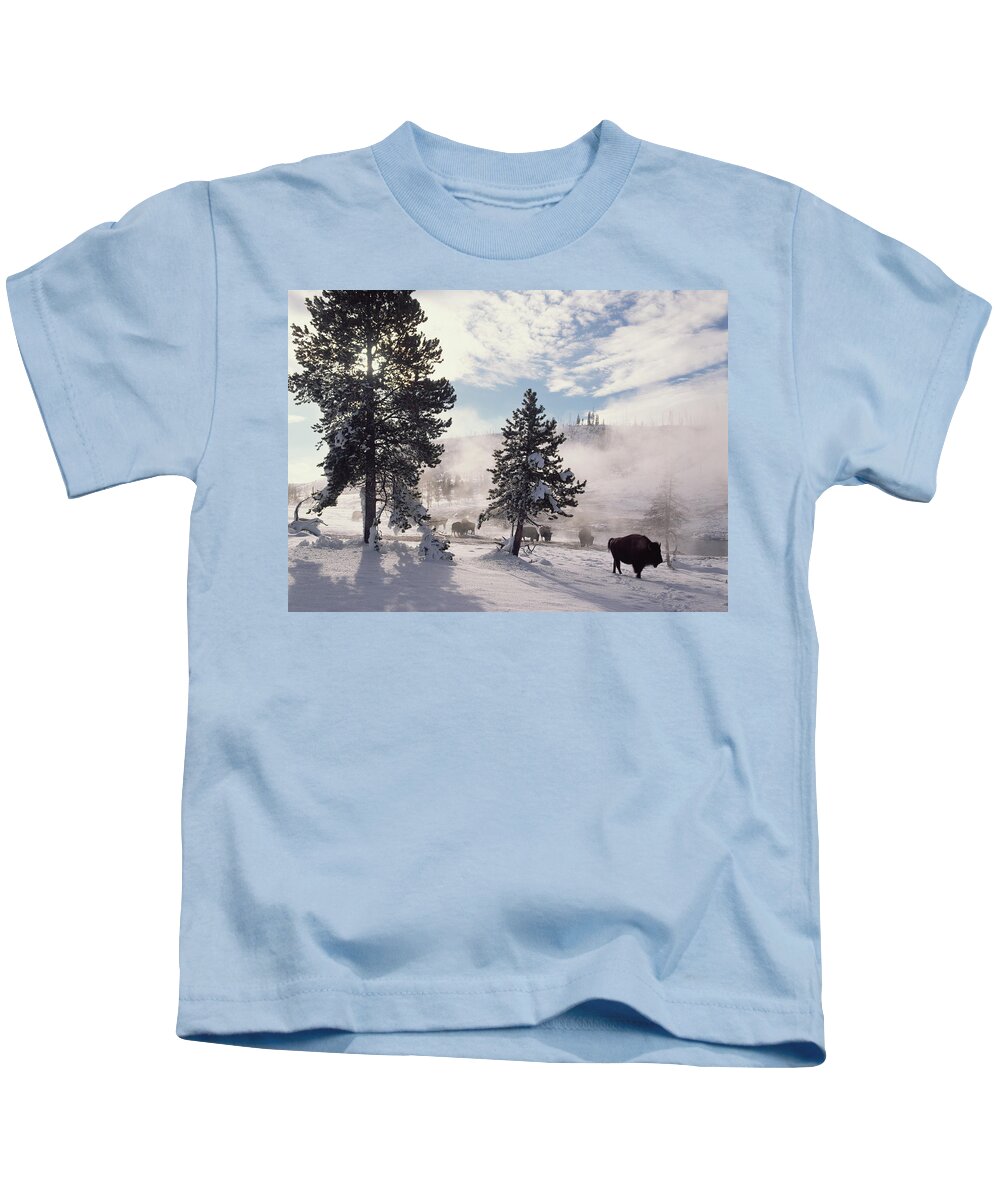 00174314 Kids T-Shirt featuring the photograph American Bison In Winter Yellowstone by Tim Fitzharris