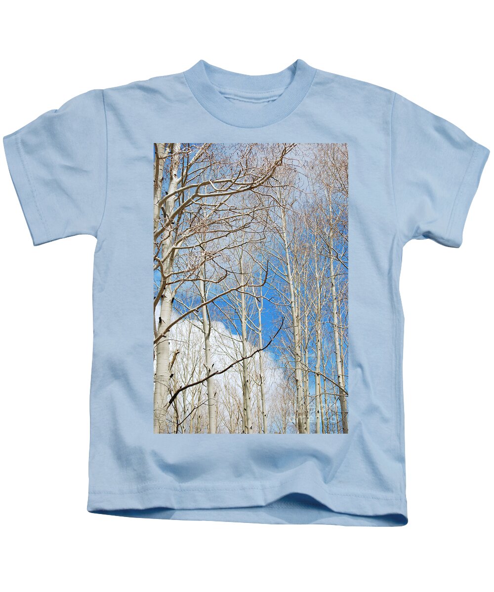 Fine Art Kids T-Shirt featuring the photograph Cloudy Aspen Sky by Donna Greene