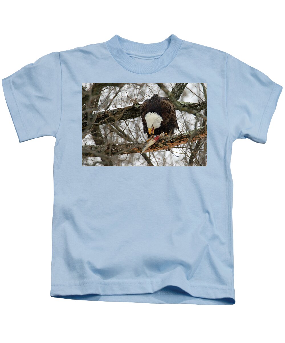 Bald Eagle Kids T-Shirt featuring the photograph An Eagles Meal #1 by Brook Burling