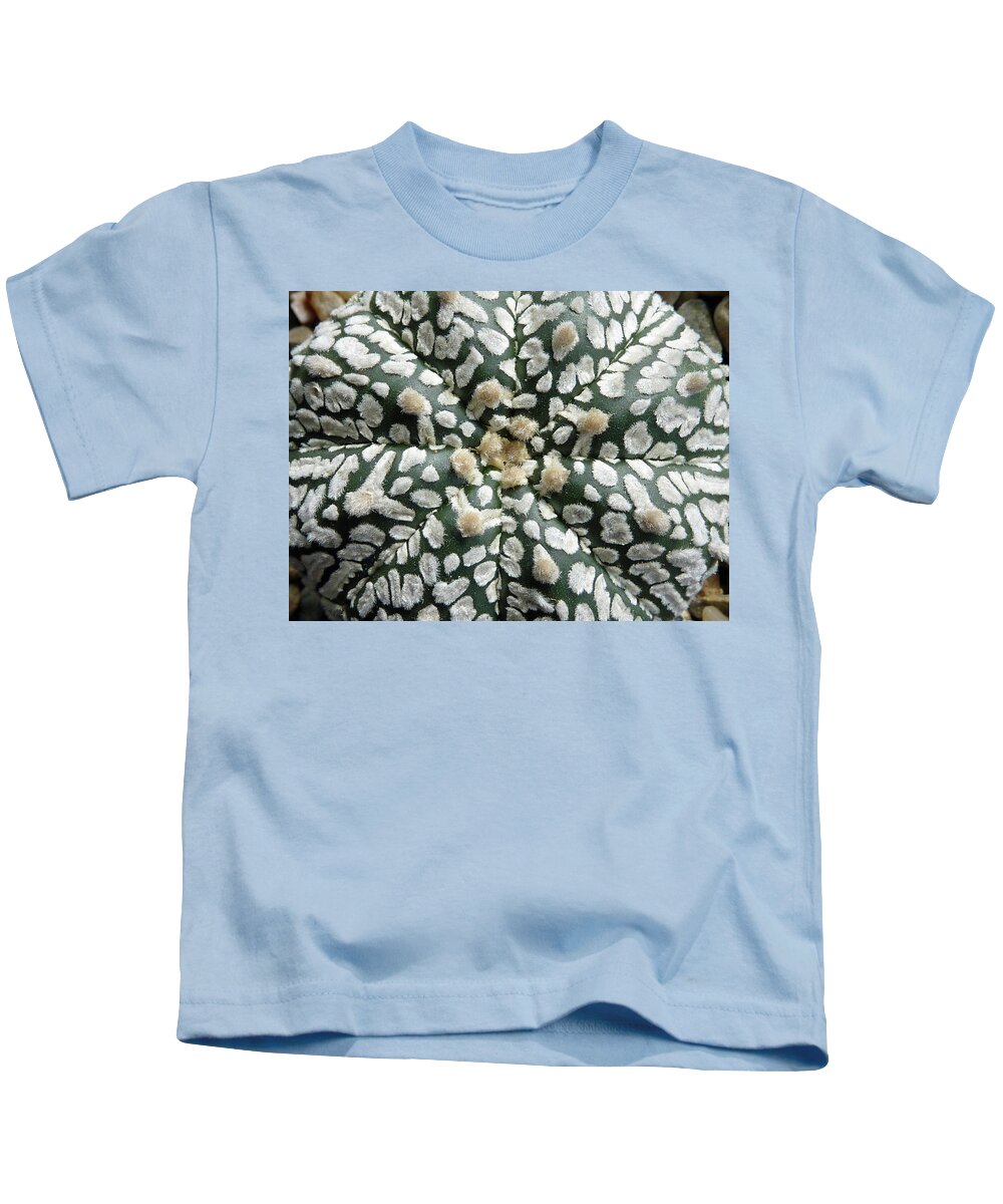 Cactus Kids T-Shirt featuring the photograph Cactus 1 #1 by Selena Boron
