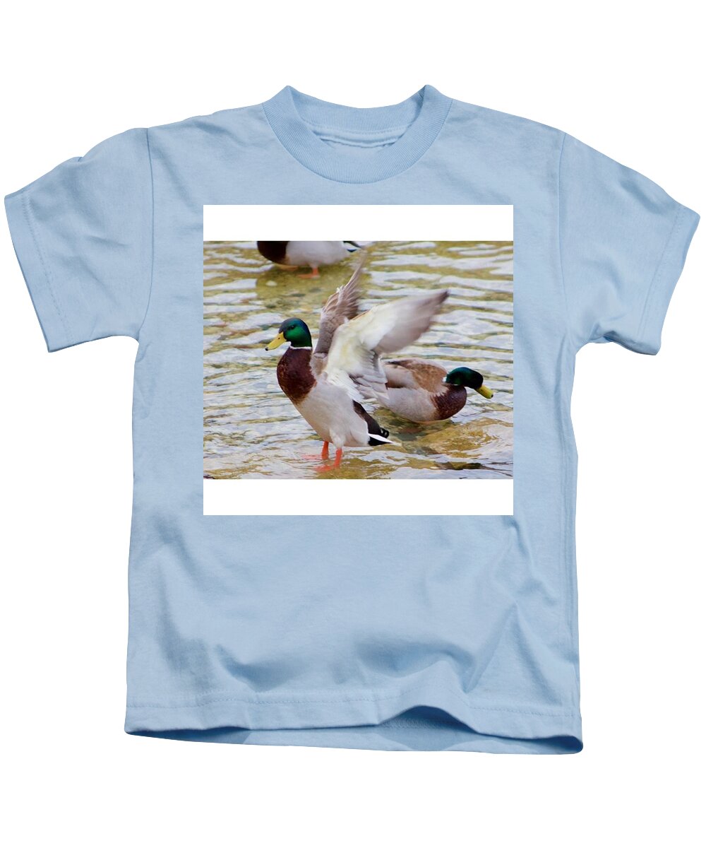 Animalphotography Kids T-Shirt featuring the photograph Flappy Duck by Whitney Golden