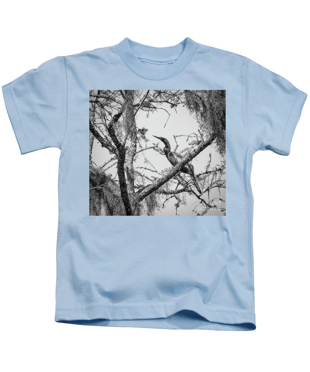 Bird Kids T-Shirt featuring the photograph Anhinga by Barry Bohn
