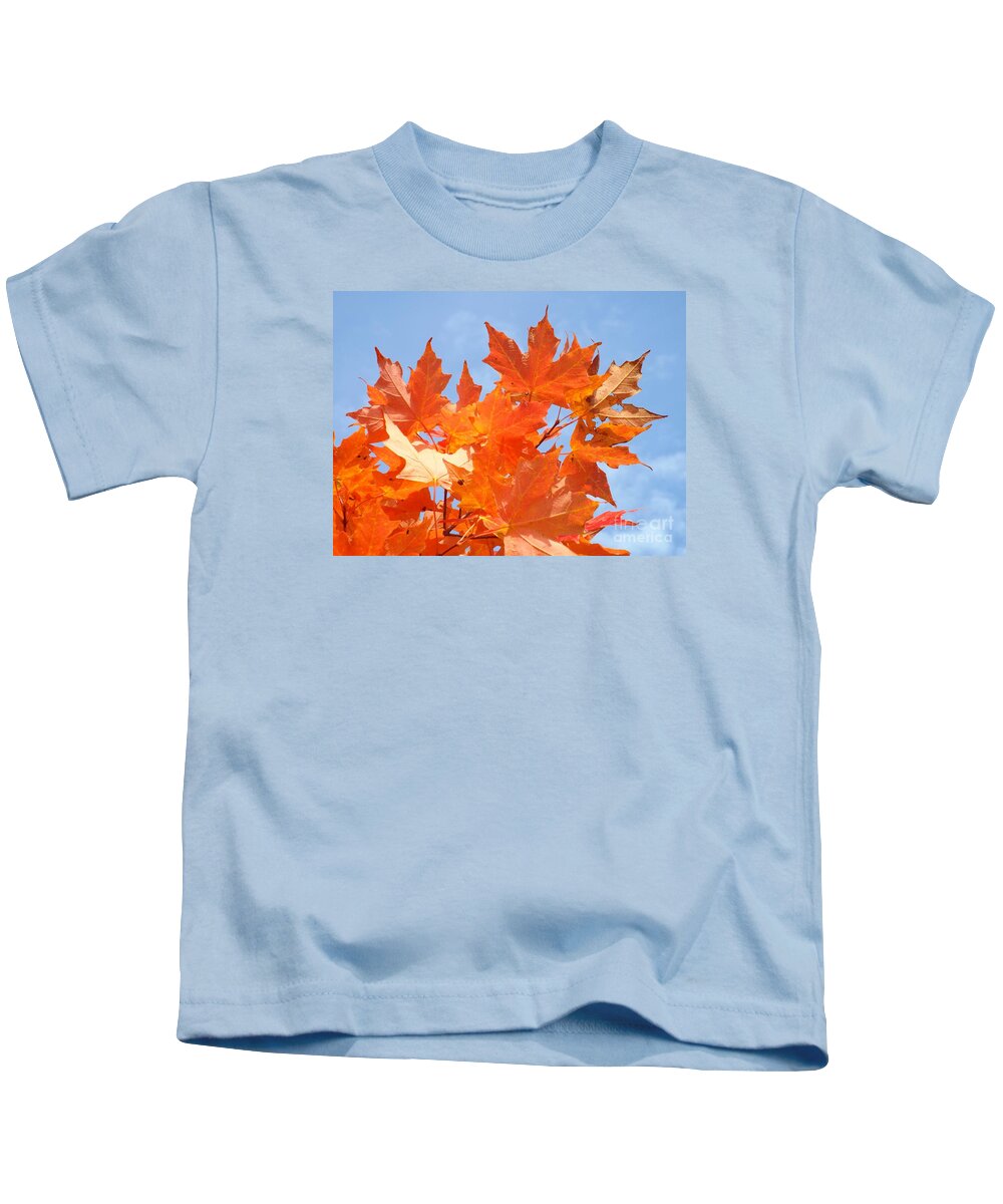 Fall Kids T-Shirt featuring the photograph Blazing Maple by Barbara Von Pagel