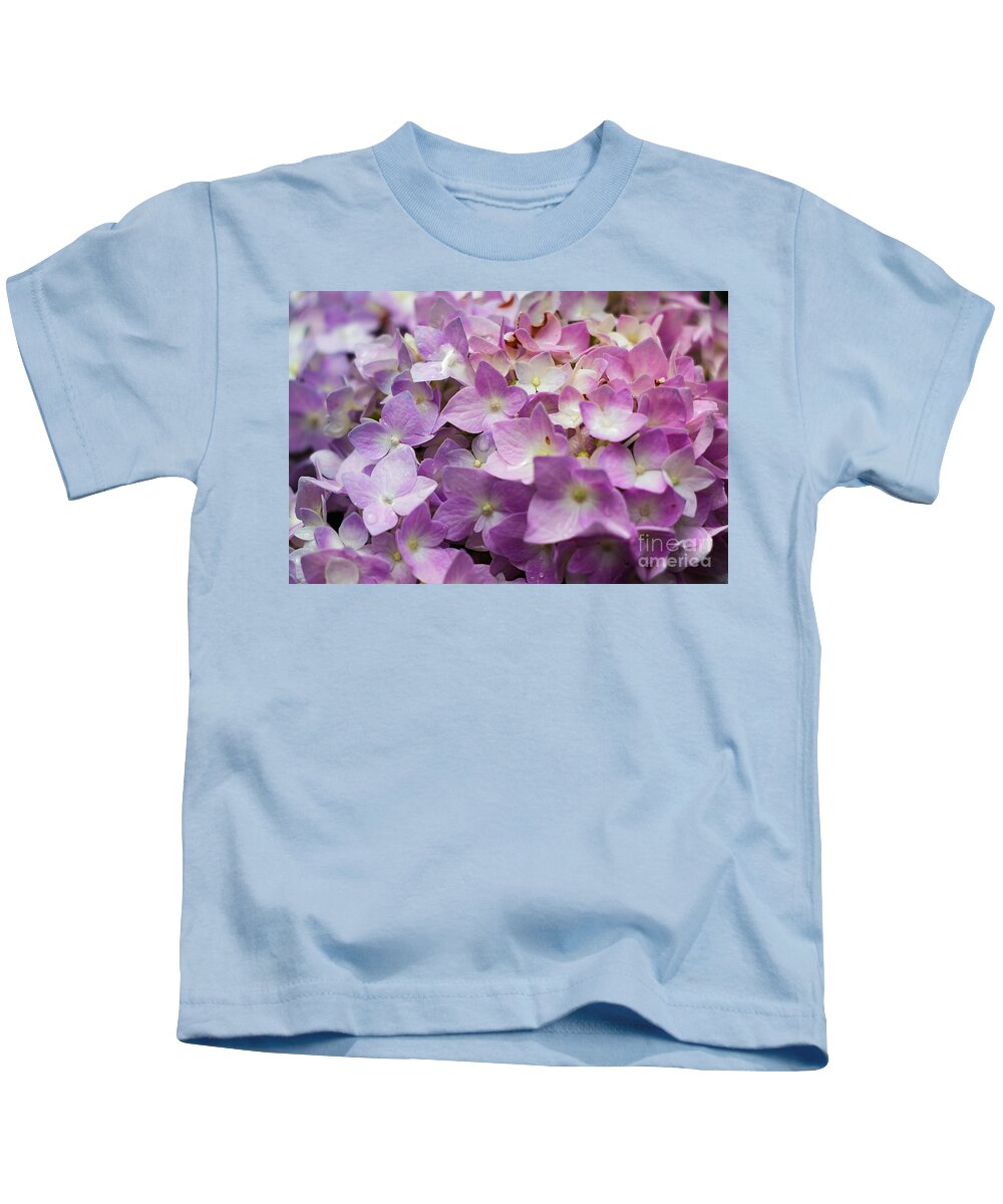Pink Hydrangeas Kids T-Shirt featuring the photograph Dainty Pink Hydrangeas by Elizabeth Dow