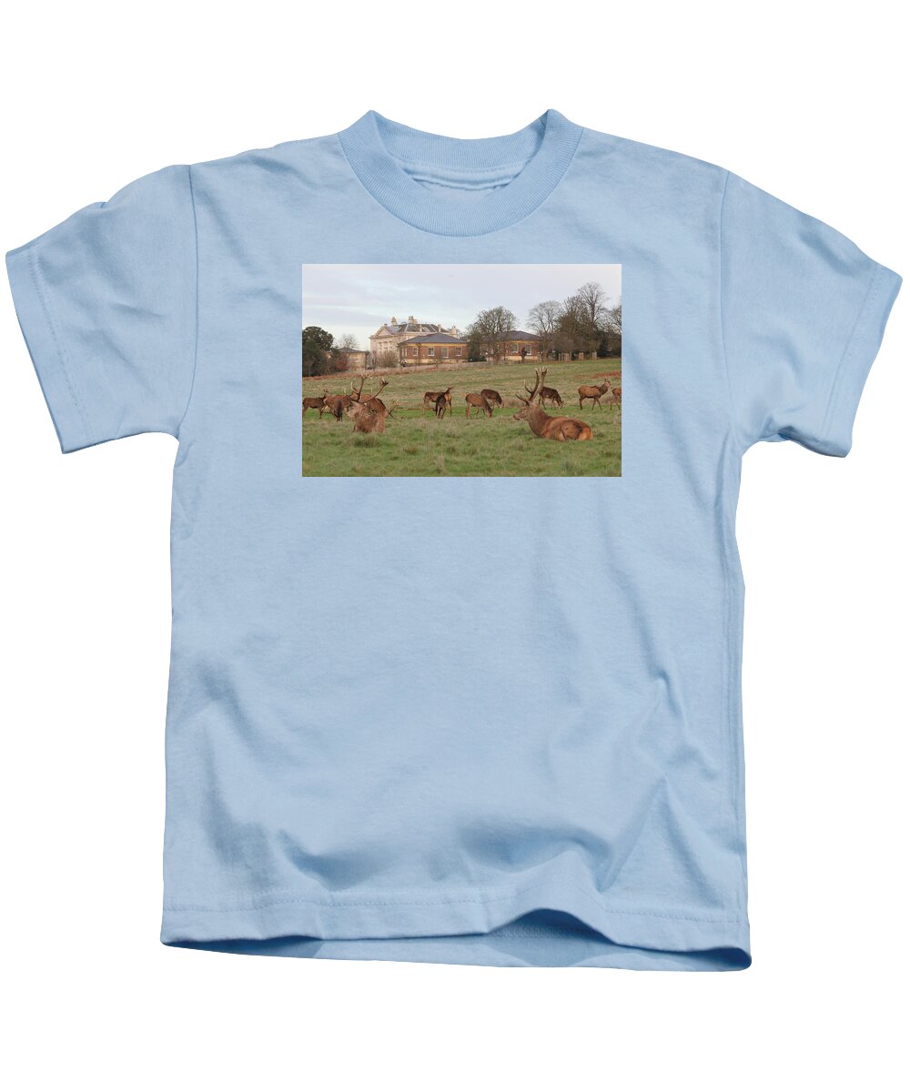 Deer Kids T-Shirt featuring the photograph Deer in Richmond Park by Marcus Coatsworth