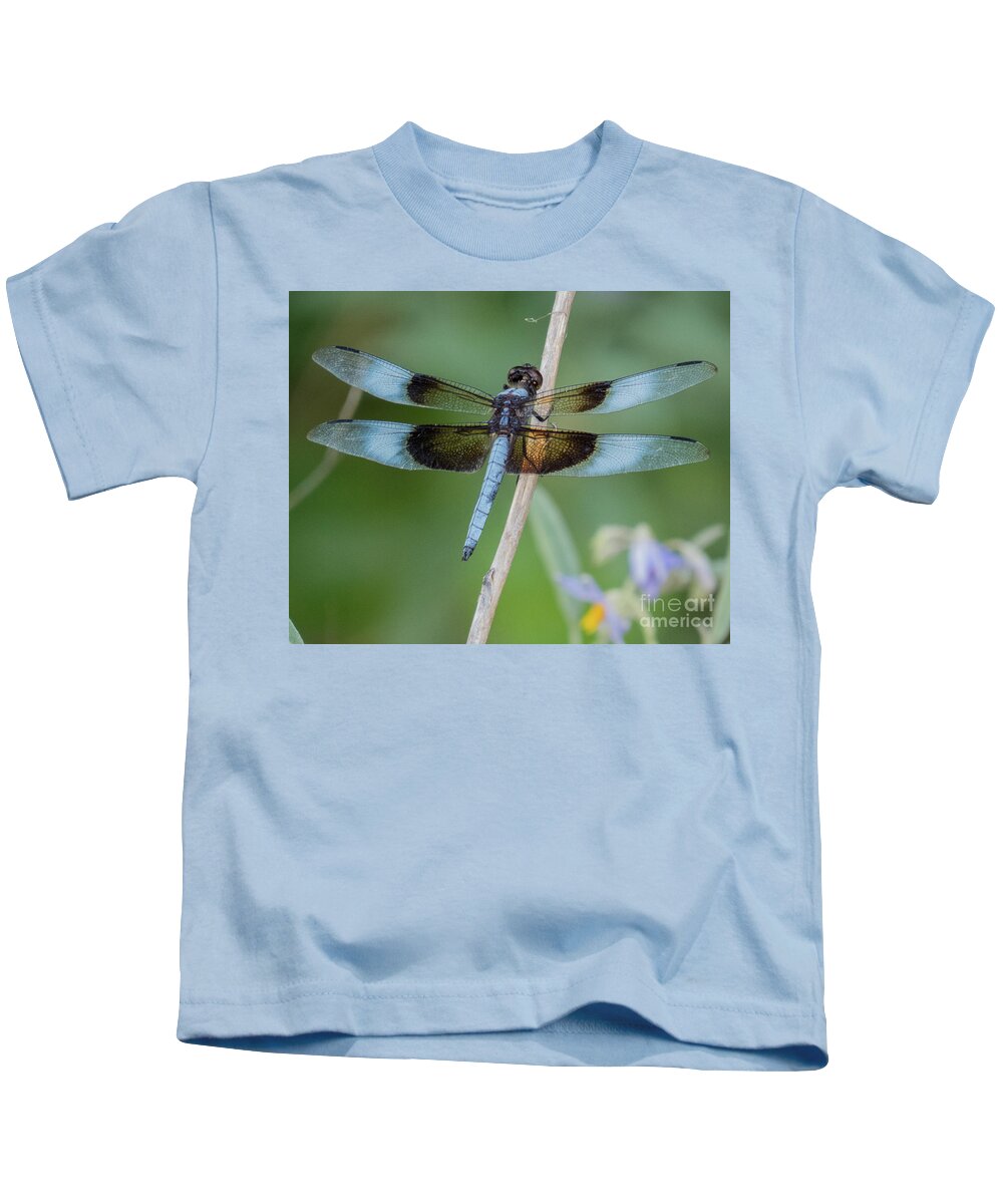 Dragonfly Kids T-Shirt featuring the photograph Dragonfly 12 by Christy Garavetto
