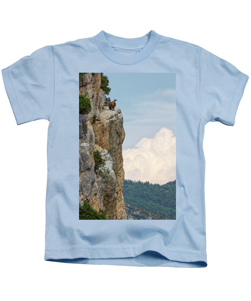 Bird Kids T-Shirt featuring the photograph Griffon vulture standing on the cliff, Drome provencale, France by Elenarts - Elena Duvernay photo