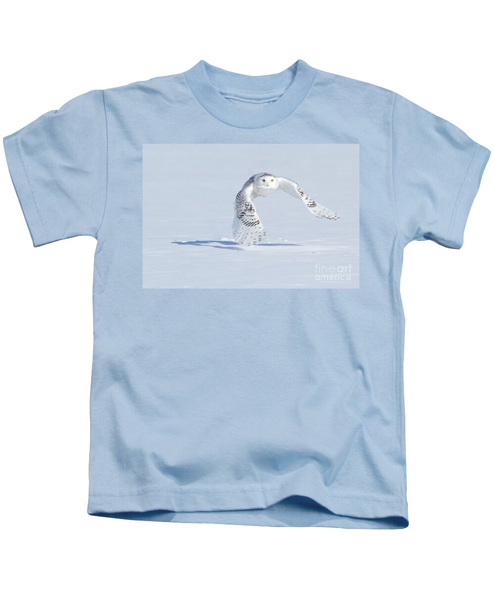 Snowy Owls Kids T-Shirt featuring the photograph In her sight by Heather King