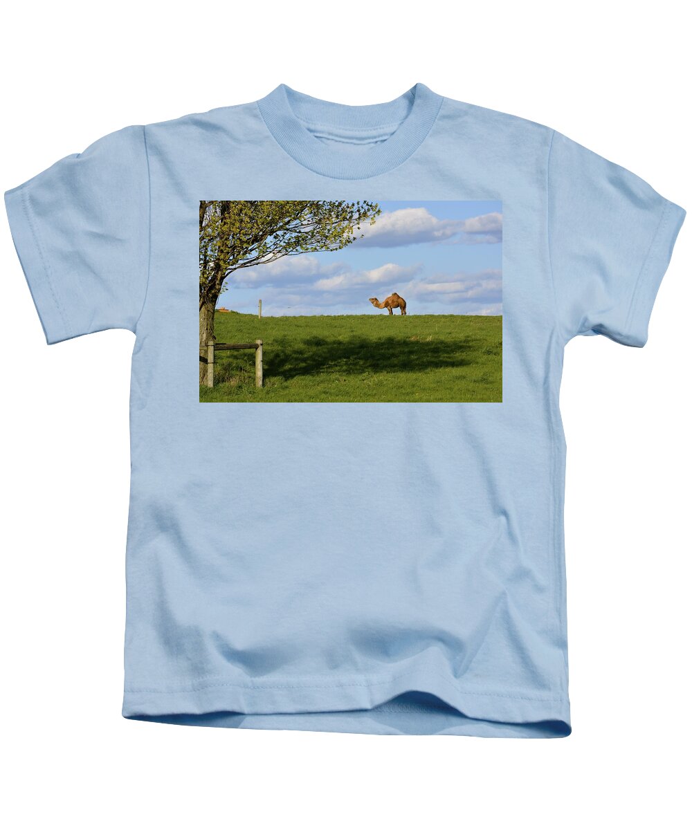 Camel Kids T-Shirt featuring the photograph Lancaster County Camel by Tana Reiff