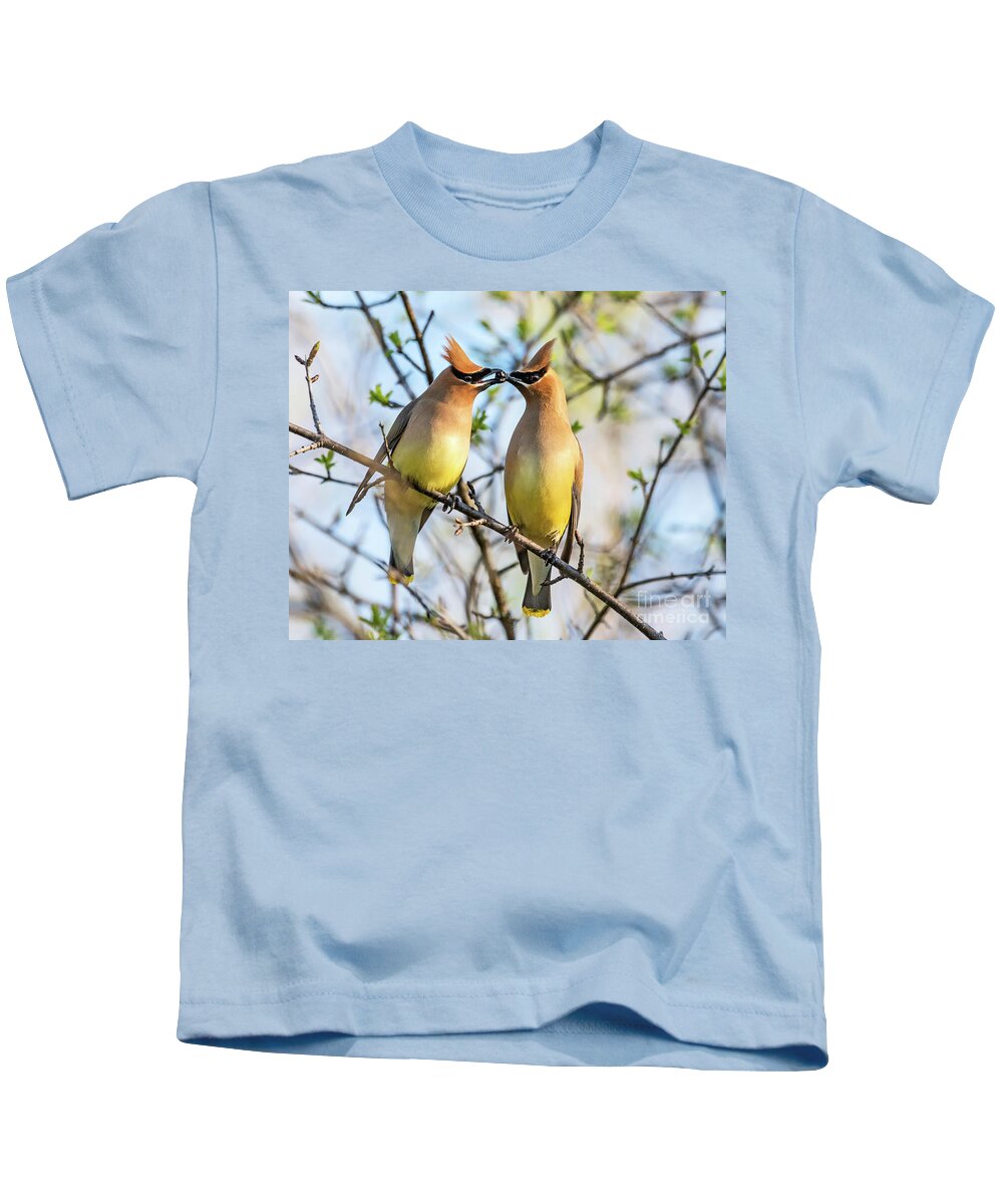 Nina Stavlund Kids T-Shirt featuring the photograph Love is in the Air by Nina Stavlund