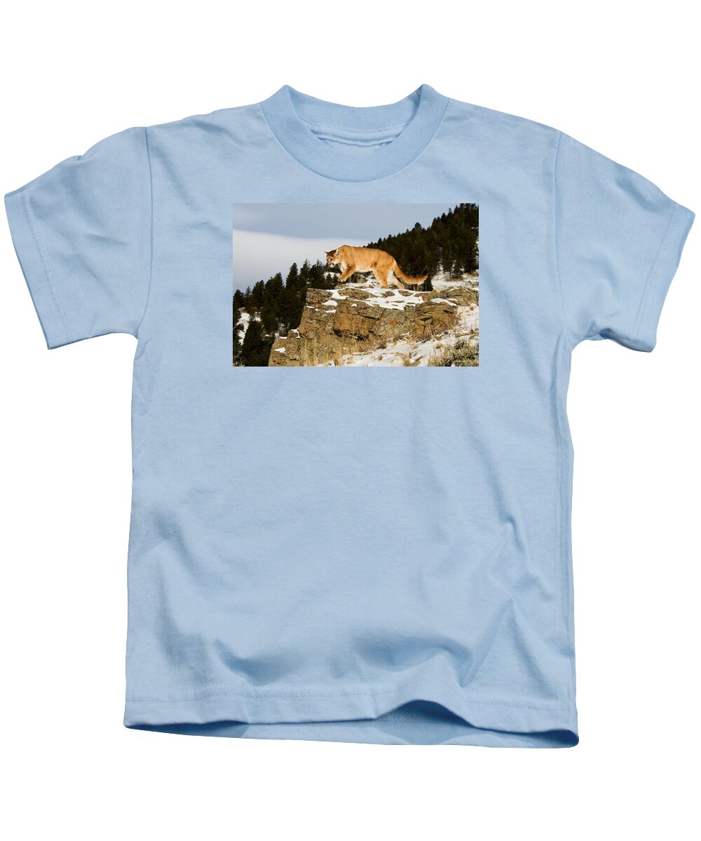 Mountain Lion Kids T-Shirt featuring the photograph Mountain Lion on Rocks by Scott Read