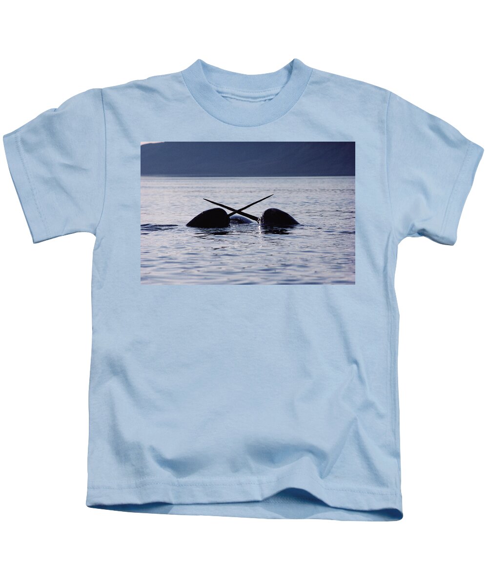00080563 Kids T-Shirt featuring the photograph Narwhal Males Sparring Baffin Island by Flip Nicklin
