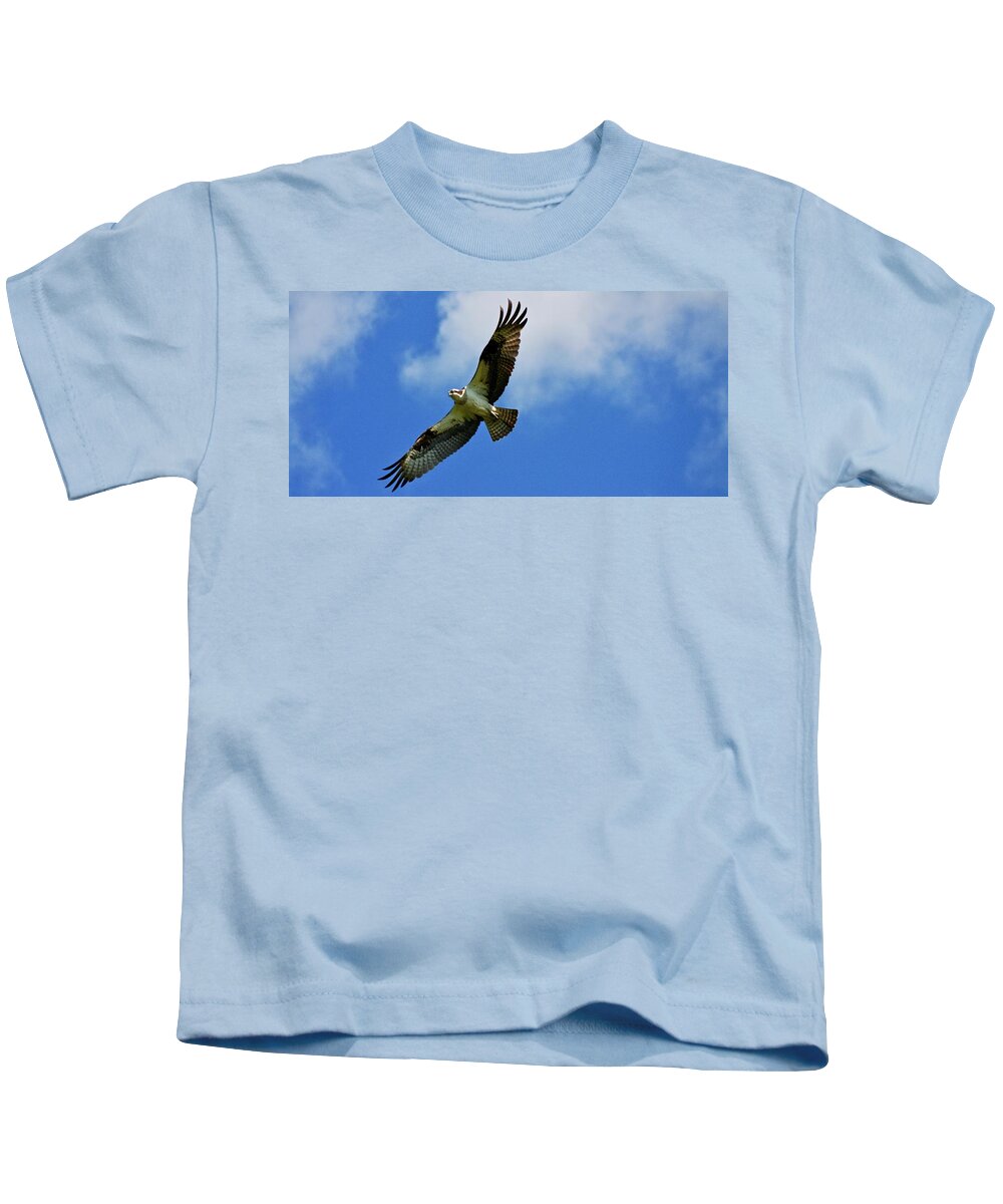 Bird Kids T-Shirt featuring the photograph Osprey at full stop by Shawn M Greener