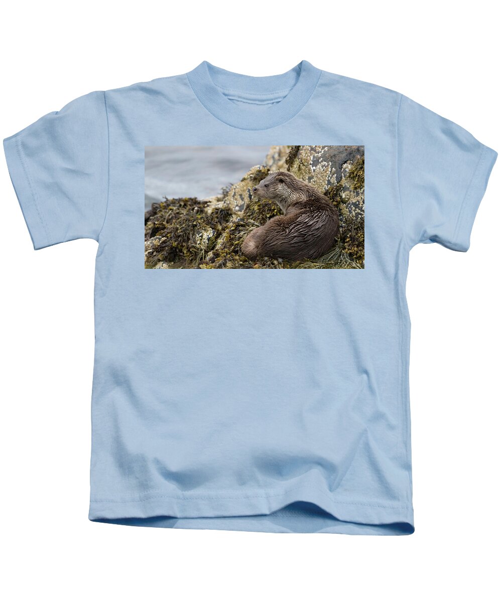 Otter Kids T-Shirt featuring the photograph Otter Relaxing On Rocks by Pete Walkden