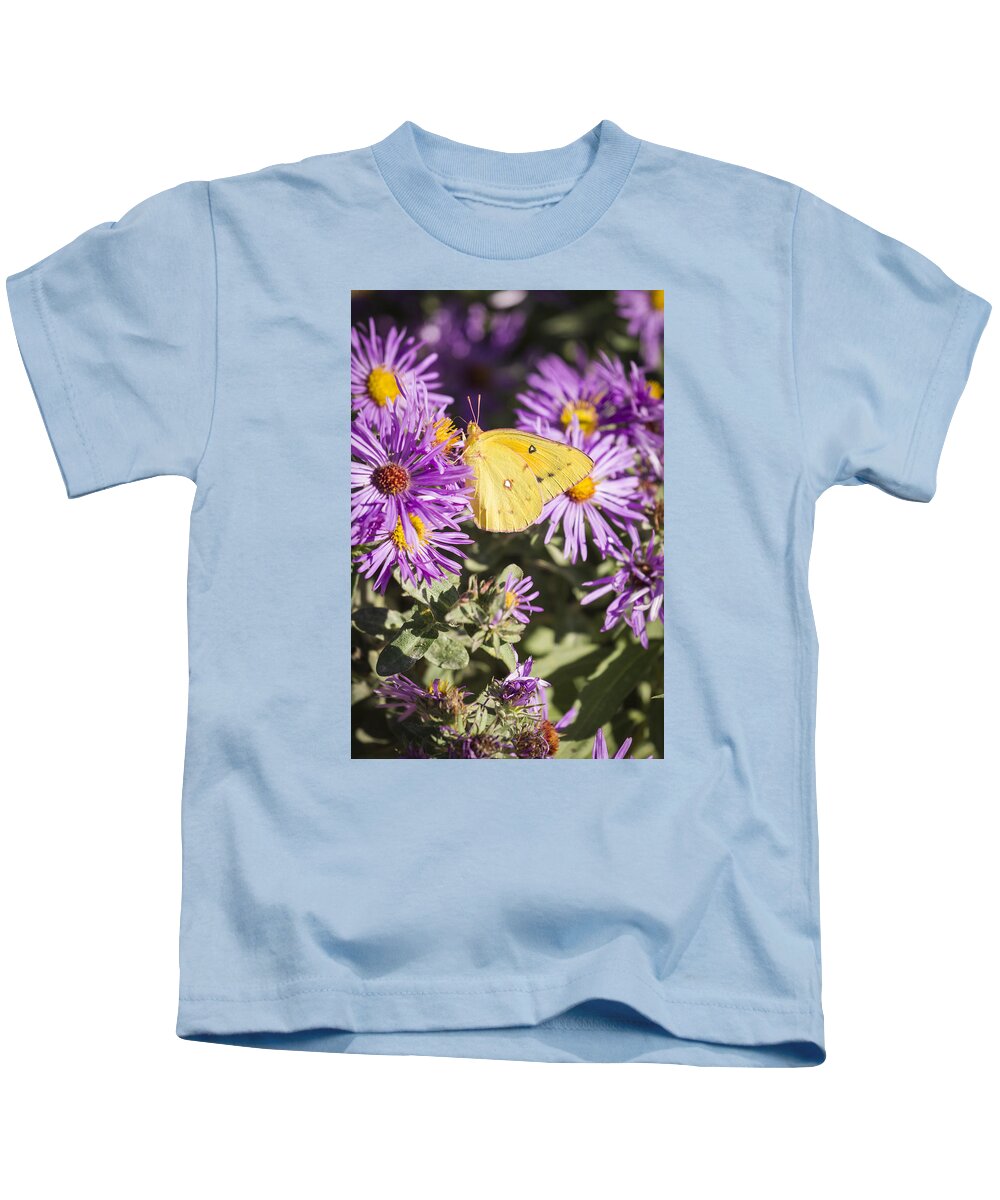Pink-edged Sulphur Butterfly Kids T-Shirt featuring the photograph Pink-edged Sulphur 2013-2 by Thomas Young