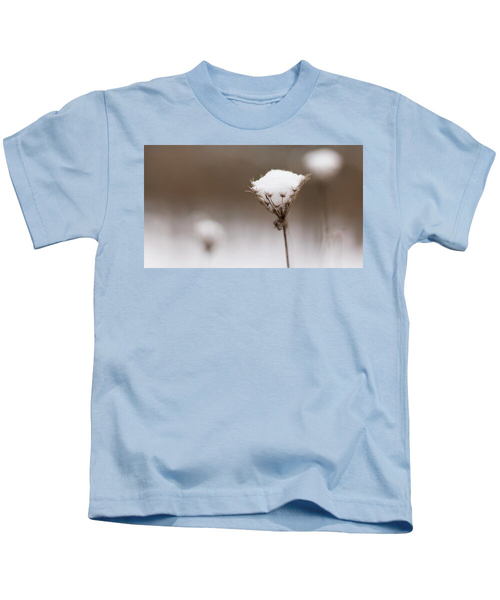 Wildflower Kids T-Shirt featuring the photograph Queen Anne in the Snow by Holly Ross