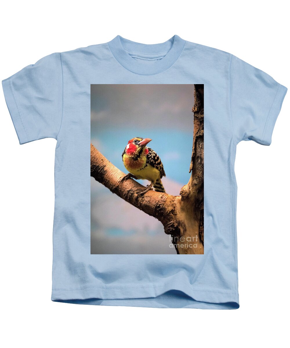 Nature Kids T-Shirt featuring the photograph Red and Yellow Barbet by Ed Taylor