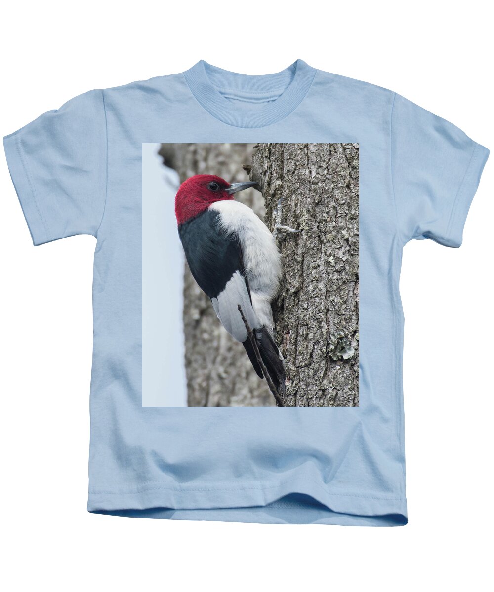 Bird Kids T-Shirt featuring the photograph Red-headed Woodpecker by Jody Partin