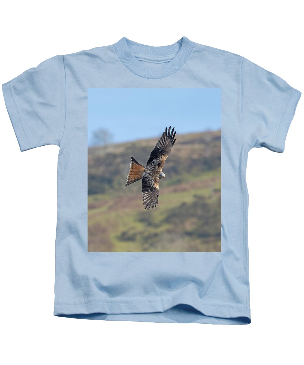 Red Kids T-Shirt featuring the photograph Red Kite by Pete Walkden