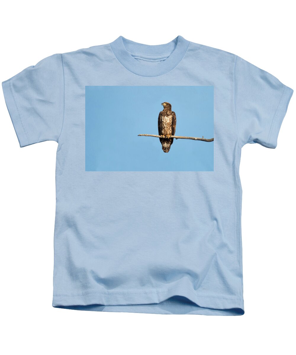 Wildlife Kids T-Shirt featuring the photograph Regal Eagle by Celine Pollard
