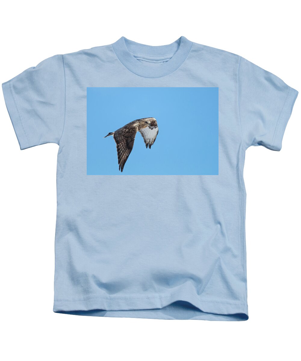 Wildlife Kids T-Shirt featuring the photograph Rough Legged Hawk by Celine Pollard