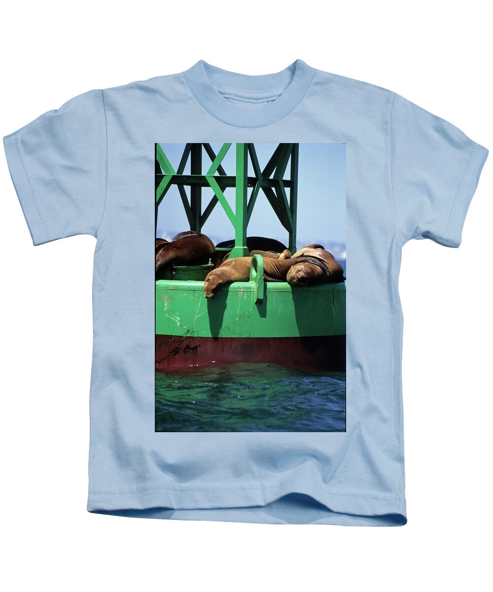 Seals Kids T-Shirt featuring the photograph Seals on channel marker by David Shuler