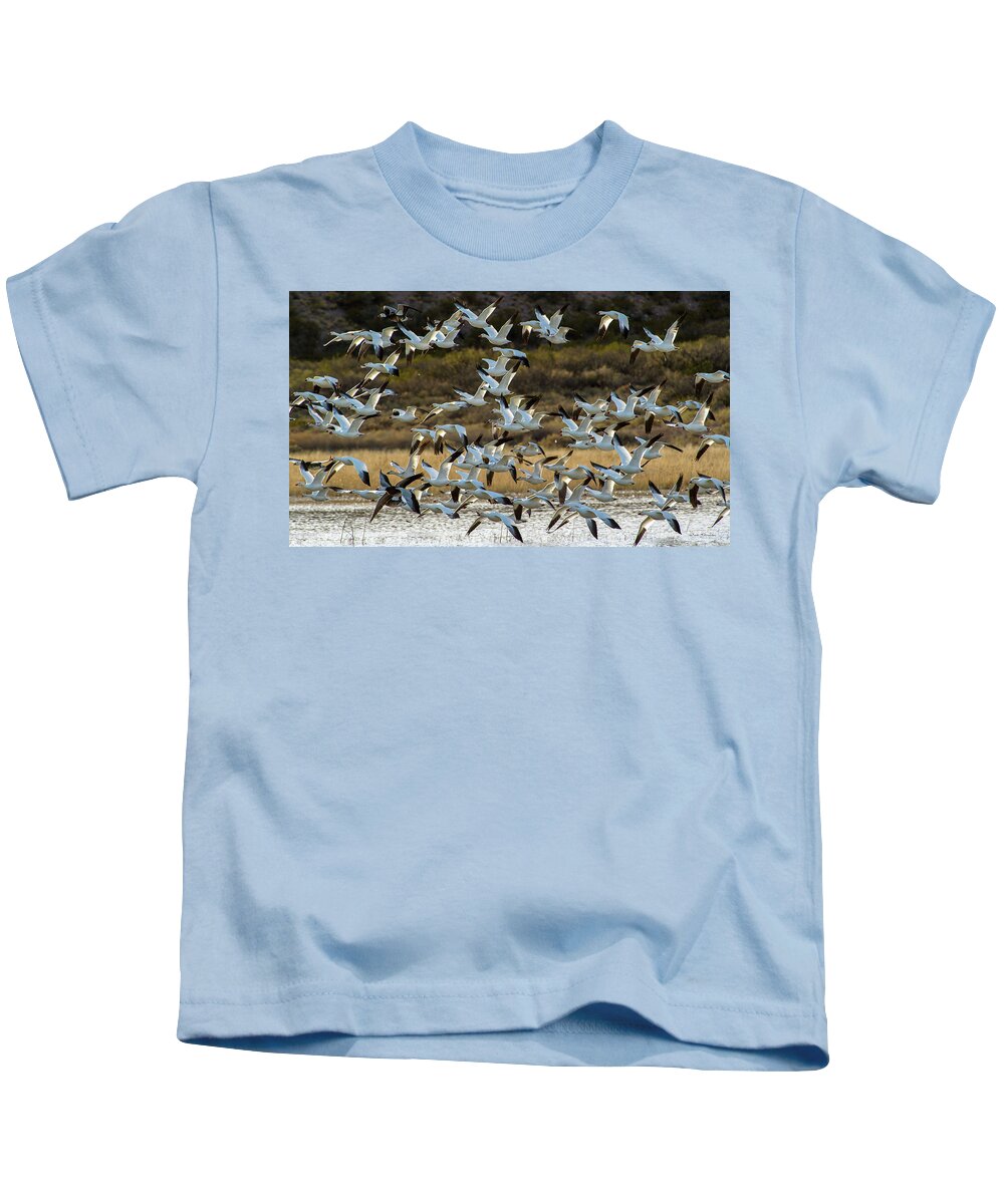 Snow Geese Kids T-Shirt featuring the photograph Snow Geese Flock in Flight by Judi Dressler