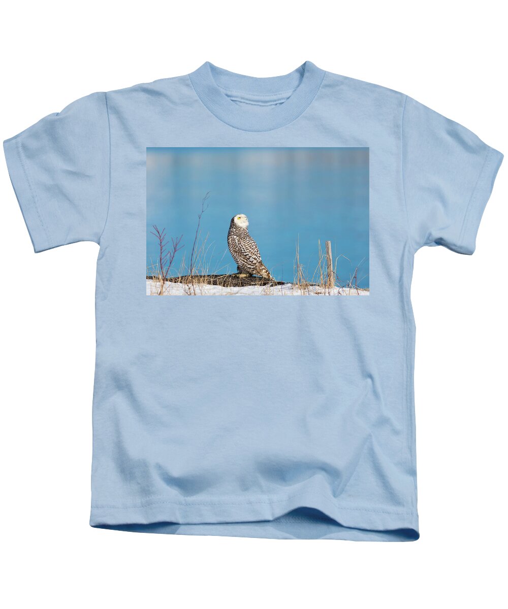Snowy Owl Owls Snow Outside Outdoors Nature Natural Wild Life Wildlife Ornithology Birds Bird Birding Turn Around Turning Twisting Twist Watching Providence Ri Rhode Island Newengland New England Brian Hale Brianhalephoto Atlantic Ocean Kids T-Shirt featuring the photograph Snowy Watching a Plane by Brian Hale