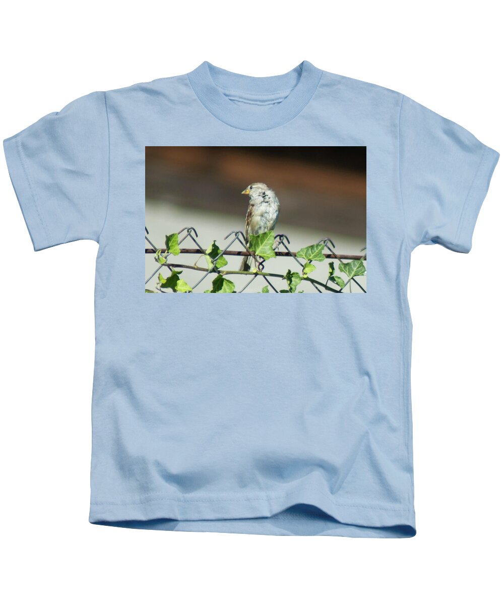 Sparrow Kids T-Shirt featuring the photograph Sparrow by Jackie Russo