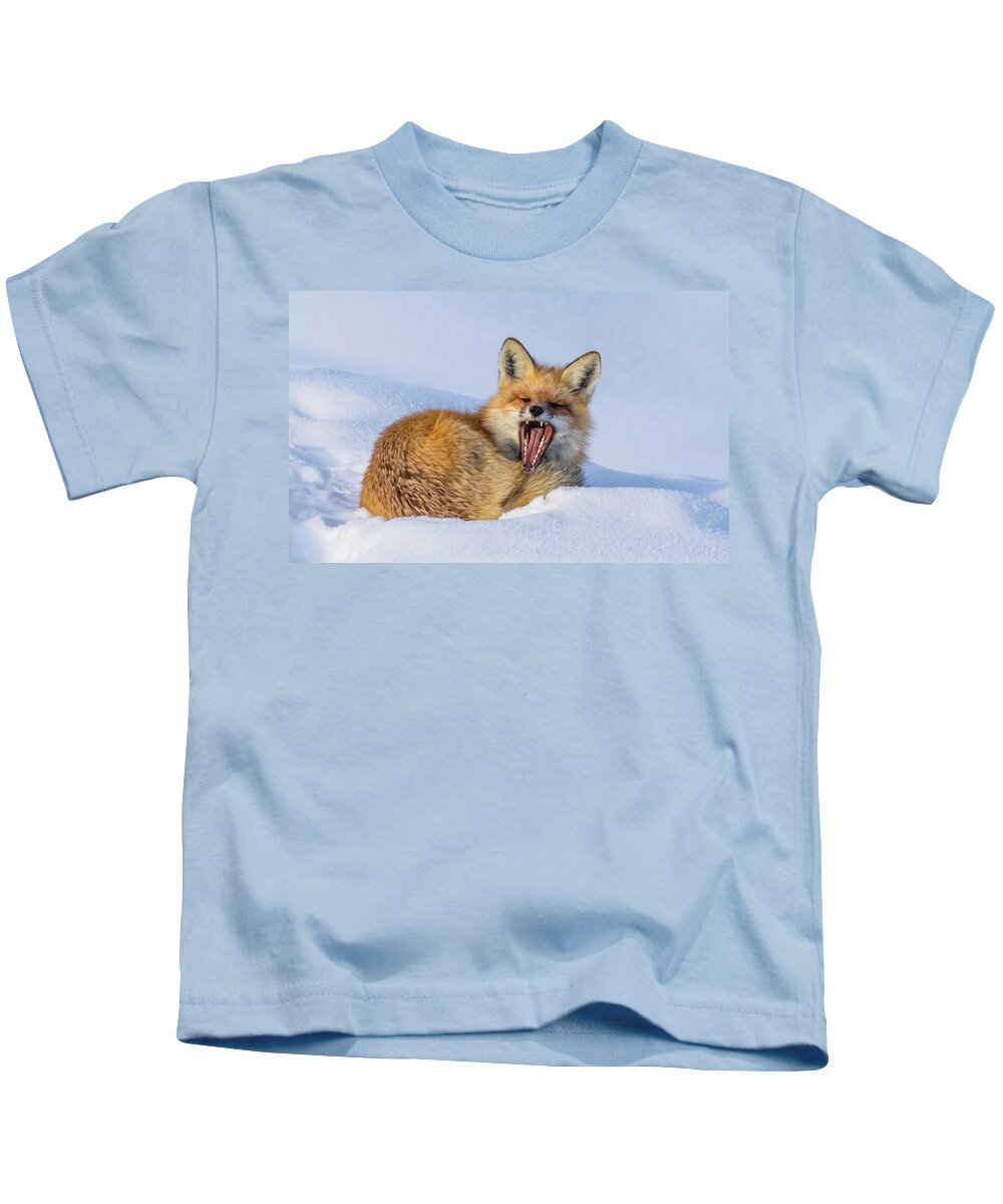 Deer Kids T-Shirt featuring the photograph Spring Sunshine by Kevin Dietrich