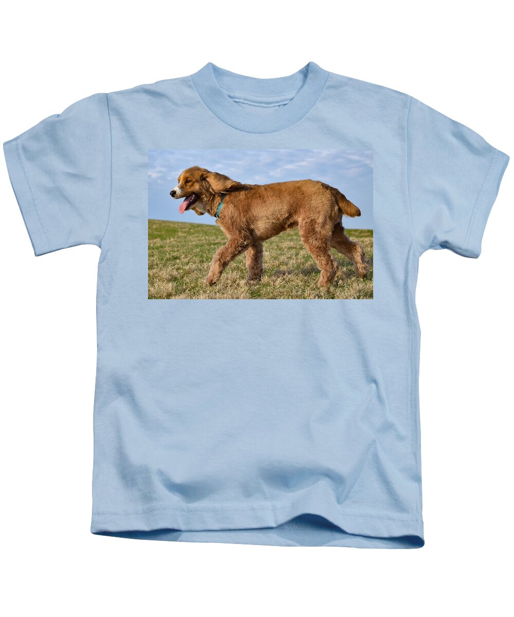 Cockapoo Kids T-Shirt featuring the photograph Sunny Stroll by Nicole Lloyd