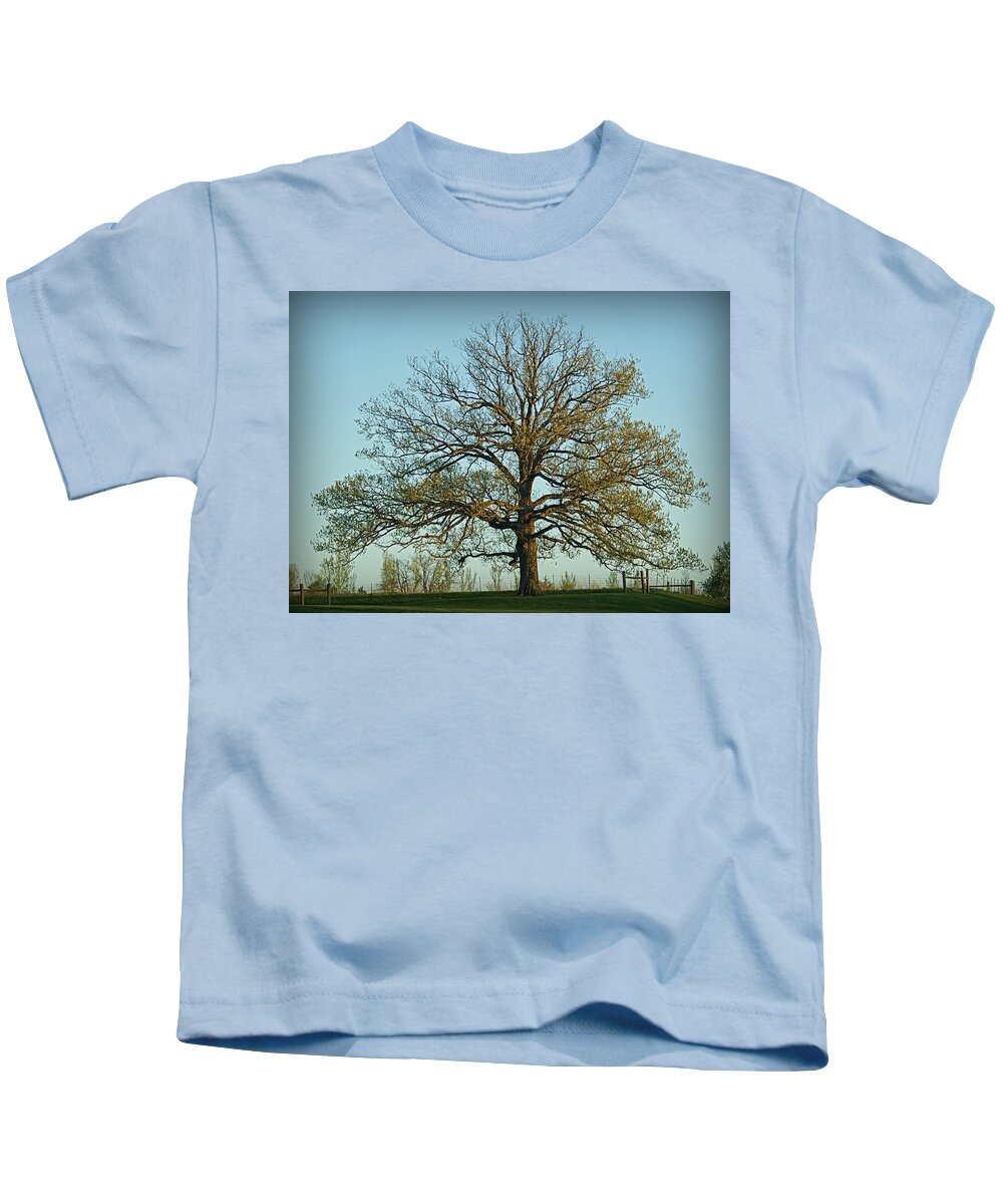 Oak Kids T-Shirt featuring the photograph The Mighty Oak in Spring by Cricket Hackmann