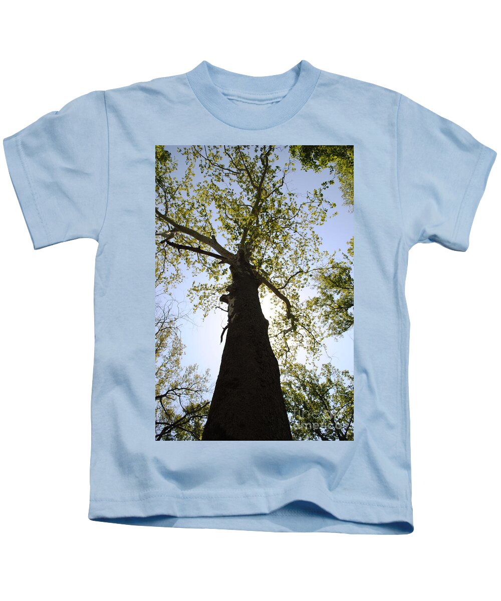 Tree Kids T-Shirt featuring the photograph Tree Sky by Jost Houk