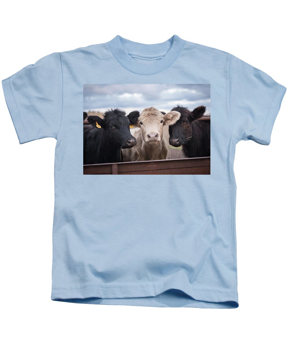 Cows Kids T-Shirt featuring the photograph We Three Cows by Holden The Moment