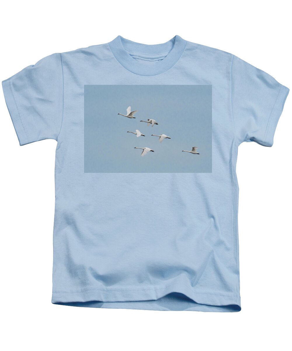 Nature Kids T-Shirt featuring the photograph Whistling Swan in Flight by Donald Brown