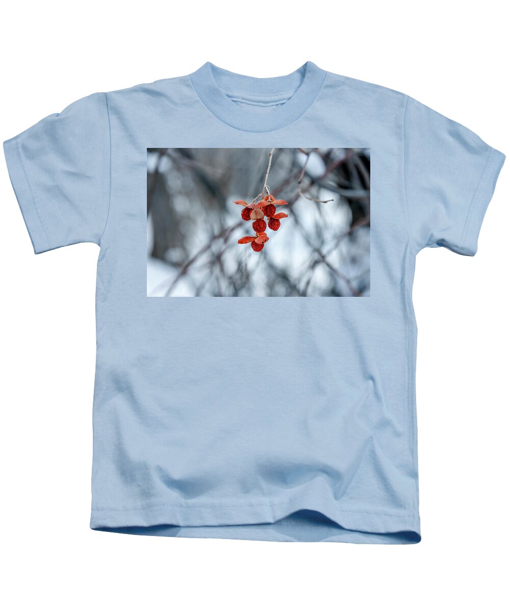 Colorado Kids T-Shirt featuring the photograph Winter Seeds by Daniel Murphy