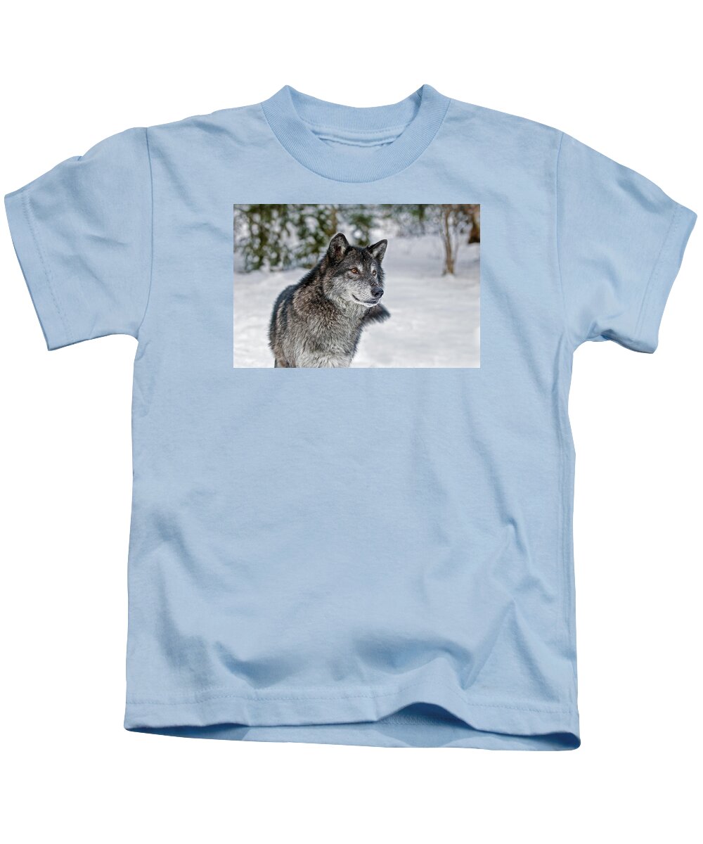 Wolf Kids T-Shirt featuring the photograph Wolf Portrait by Scott Read