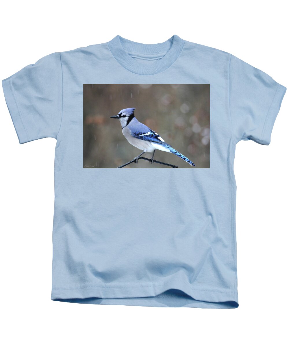 Birds Kids T-Shirt featuring the photograph A Snowy Day with Blue Jay by Trina Ansel